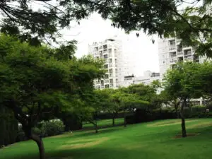 מסלול הליכה - פוסט של זהבה רוז