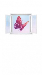 זהבה רוז- אימון תודעתי משנה חיים